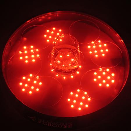 Customize LED Waiter Tray For Bar Use 